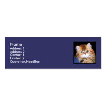Tarjetas de visita flacas del gatito del Tabby