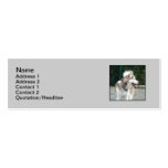 Tarjetas de visita flacas del husky siberiano