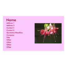 Tarjetas de visita rosadas de Fuschia