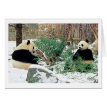 Tarjetas del día de fiesta de las pandas
