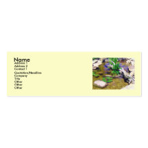 Tarjetas del perfil de la charca del jardín tarjeta personal