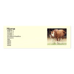 Tarjetas del perfil del diseño del caballo tarjetas de visita