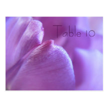 Tarjetas púrpuras del número de la tabla del tulip postal