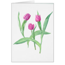 tarjetas púrpuras del tulipán