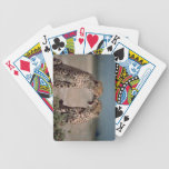 Tarjetas que juegan de los guepardos baraja de cartas