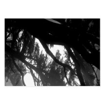 Tarjetas rechonchas de la pinta Reyes Holga Tarjeta Personal