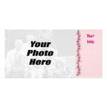 Tarjetas tropicales de la foto de las flores tarjetas fotográficas 