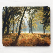 Tarjetas y regalos del parque nacional de Yosemite Tapete De Ratones
