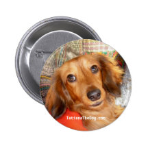 Tatiana el botón del perro pin