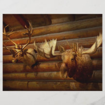 Taxidermy - la casa de cazadores tarjeta publicitaria