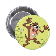 Taz que presenta 10 pin