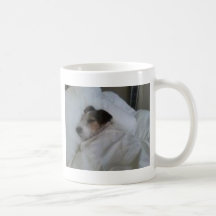 Taza