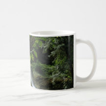 Taza