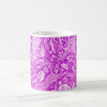 Taza