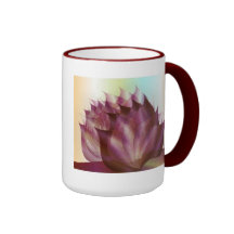 taza