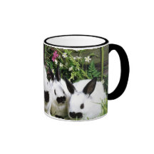 taza 3 del conejito