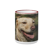Taza amarilla del laboratorio