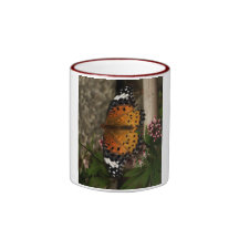 Taza anaranjada de la mariposa