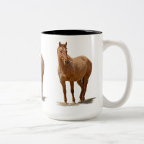 taza animal equina del diseñador de los Caballo-am tazas