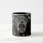 Taza azul de Terrier de pitbull de la nariz