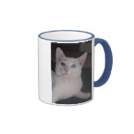 Taza blanca del gato del ojo impar