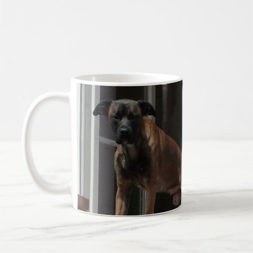 TAZA - Bonjour Tournus Francia