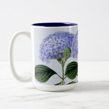 Taza botánica del Hydrangea