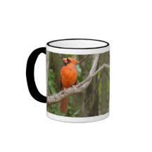 Taza cardinal septentrional del pájaro