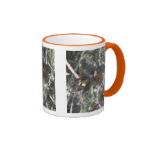 Taza cardinal septentrional femenina