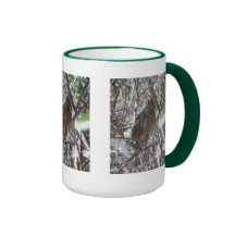 Taza cardinal septentrional femenina