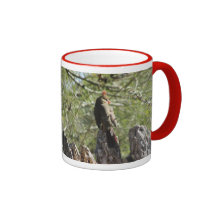 Taza cardinal septentrional femenina