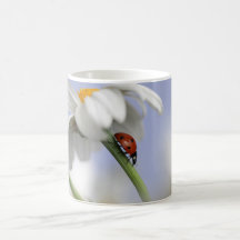 Taza con la mariquita