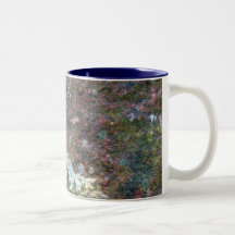 Taza cubierta de musgo de Boulder