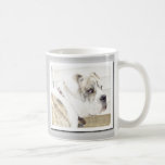 Taza de Bulldogge del inglés de Olde