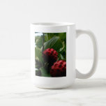 Taza de café de Koosa