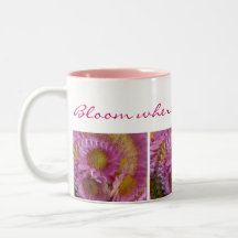 "Taza de café de la danza de la margarita" con la 