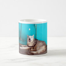 Taza de café de la isla del pino