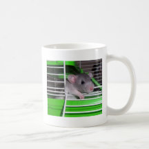 Taza de café de la rata del mascota