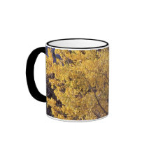 Taza de café del árbol del álamo temblón de la caí