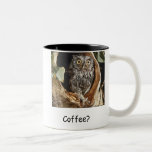 Taza de café del búho