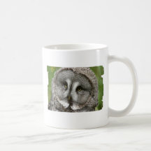 Taza de café del búho de gran gris