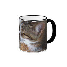 Taza de café del gato