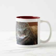 Taza de café del gato