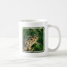 Taza de café del sapo