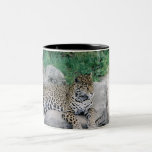 Taza de café del tigre