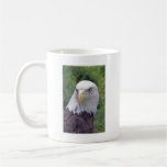 Taza de Eagle calvo