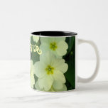 Taza de Hapy Pascua