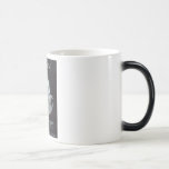 Taza de Harry Houdini