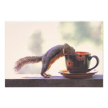 Taza de la ardilla y de café fotografia