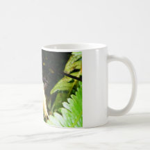Taza de la barra